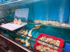 -鲜入围煮花胶鸡海鲜火锅