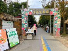 -上海长兴岛郊野公园