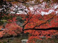 -醍醐寺