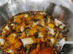 -沸腾鱼乡(知春路分店)