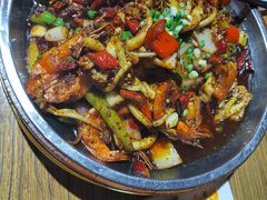 -老号尤兔头(幸福店)