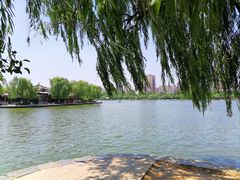 -济南大明湖景区