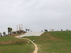 -紫颐香薰山谷景区