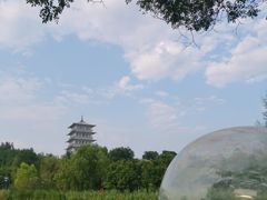 -Supine Bistro溯泮餐厅