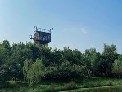 -东郊湿地公园