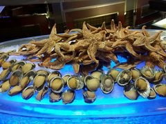 android_upload_pic-北京海淀永泰福朋喜来登酒店