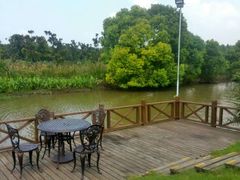 -明珠湖天鹅苑·农家菜馆