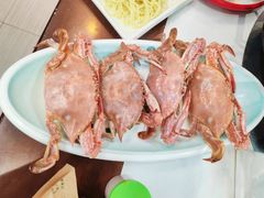 -渡海小渔村.老辈日照菜