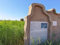 -哈密雅丹大海道景区