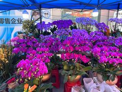 -东川新街市(东川市场店)