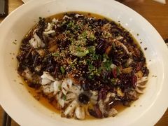-三猫黑鱼花(南大店)