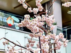 -福田卓悦INTOWN购物中心