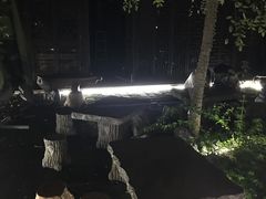 -ECHO 三毛酒吧