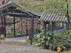 -木子山庄·安徽省老字号·中国炖锅宴