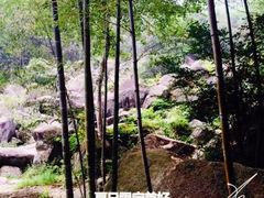 -山沟沟景区