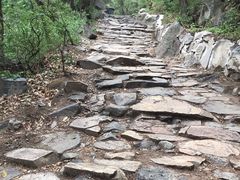 -阳台山自然风景区