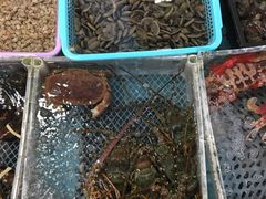 -霞涌市场海鲜摆卖区
