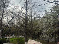 -望溪公园