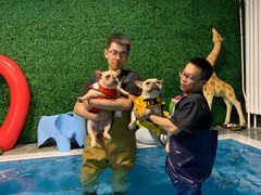 -Goku PET SHOP宠物视觉生活馆(双井店)