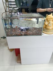 -FINE HAIR 烫染专业设计