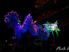 -新加坡佛牙寺龙华院