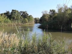 -梁鸿国家湿地公园