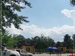 -御林古桑园