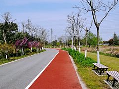 -上海长兴岛郊野公园