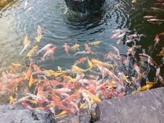 -镇江中国醋文化博物馆