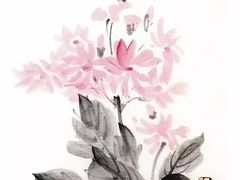 -八哥美术·成人美术画室(总校区)