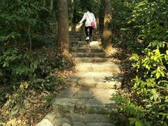 -滴水岩森林公园