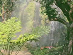 -Chom Cafe and Restaurant