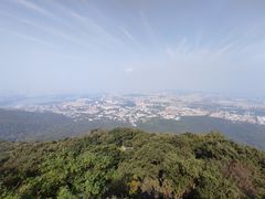 -紫金山山顶公园
