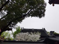 -寒山寺