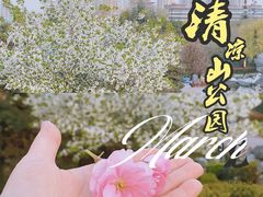 -清凉山国家森林公园
