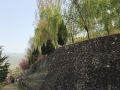 -盛世牡丹苑生态文化旅游区