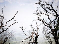 -南诏风情岛