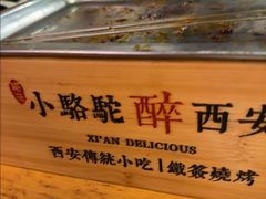 -福苗小骆驼烧烤(莲湖路店)