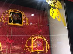 -THE NORTH FACE(龙之梦店)