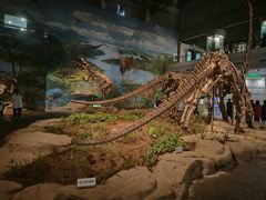 -自贡恐龙博物馆