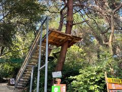 -芦仙山景区-飞越丛林探险乐园