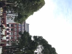 -四川大学(望江校区)
