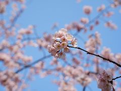-静安雕塑公园