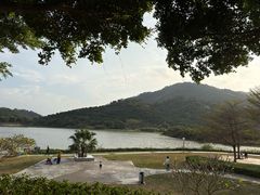 -风云岭森林公园