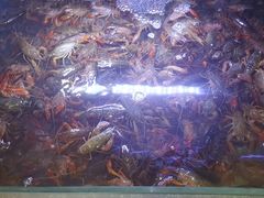 -虾铺子龙虾·私房菜(金源花苑店)