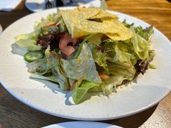 -Cactus墨西哥仙人掌餐厅