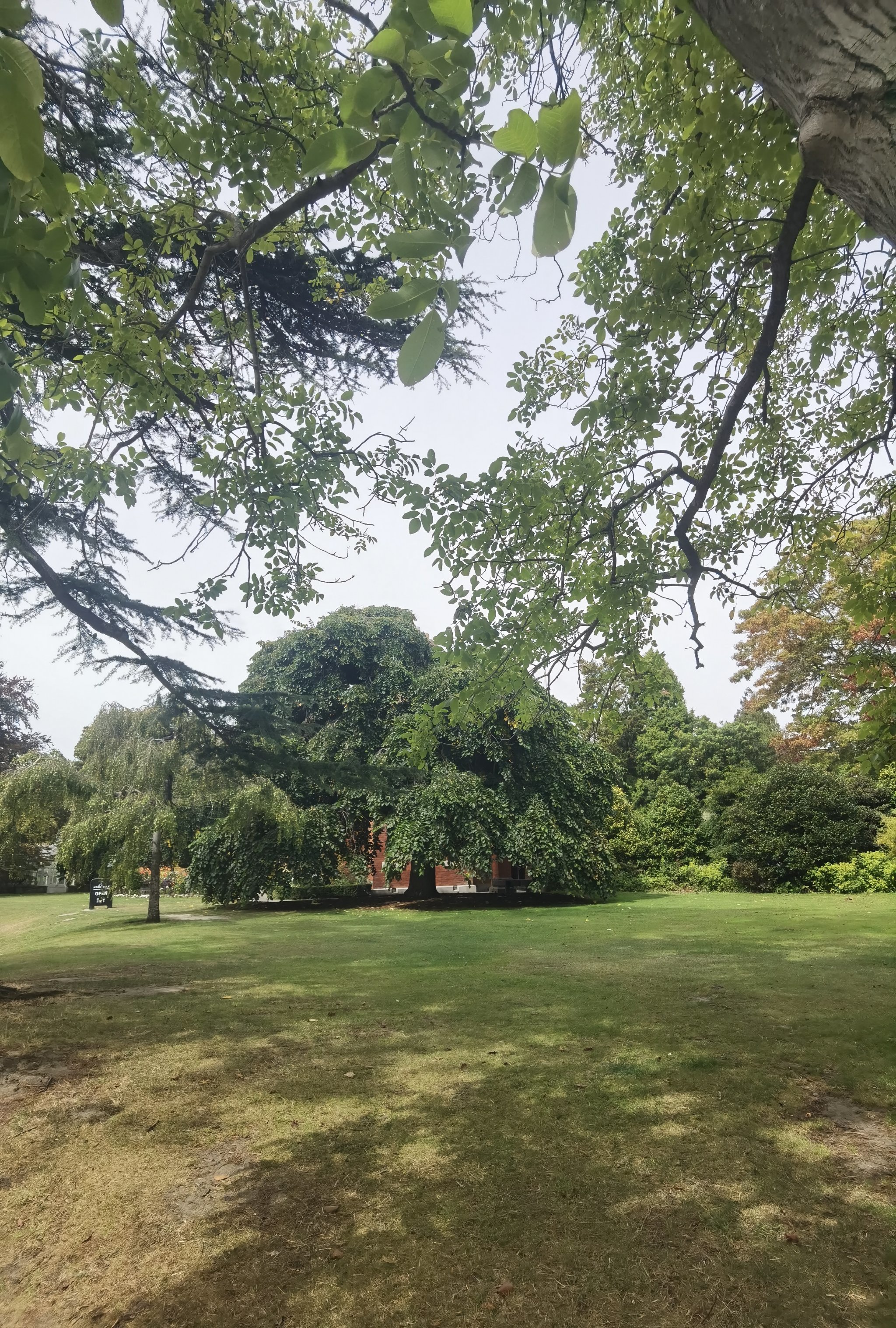 基督城的传统维多利亚式庄园