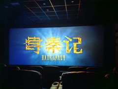 -保定金棕榈先天下国际影城(LUXE)