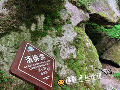 -汤旺河林海奇石景区