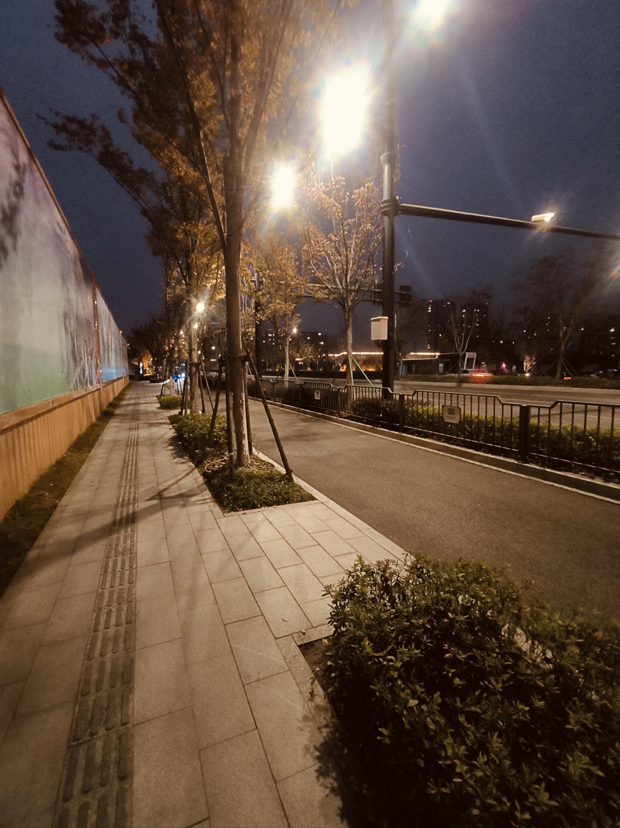 孤独的夜,有你相伴